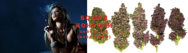 первитин Богданович