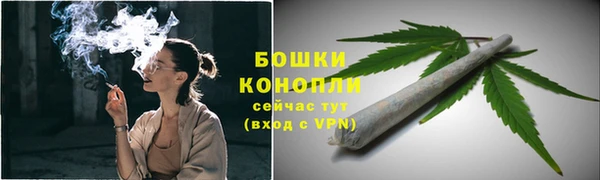 первитин Богданович